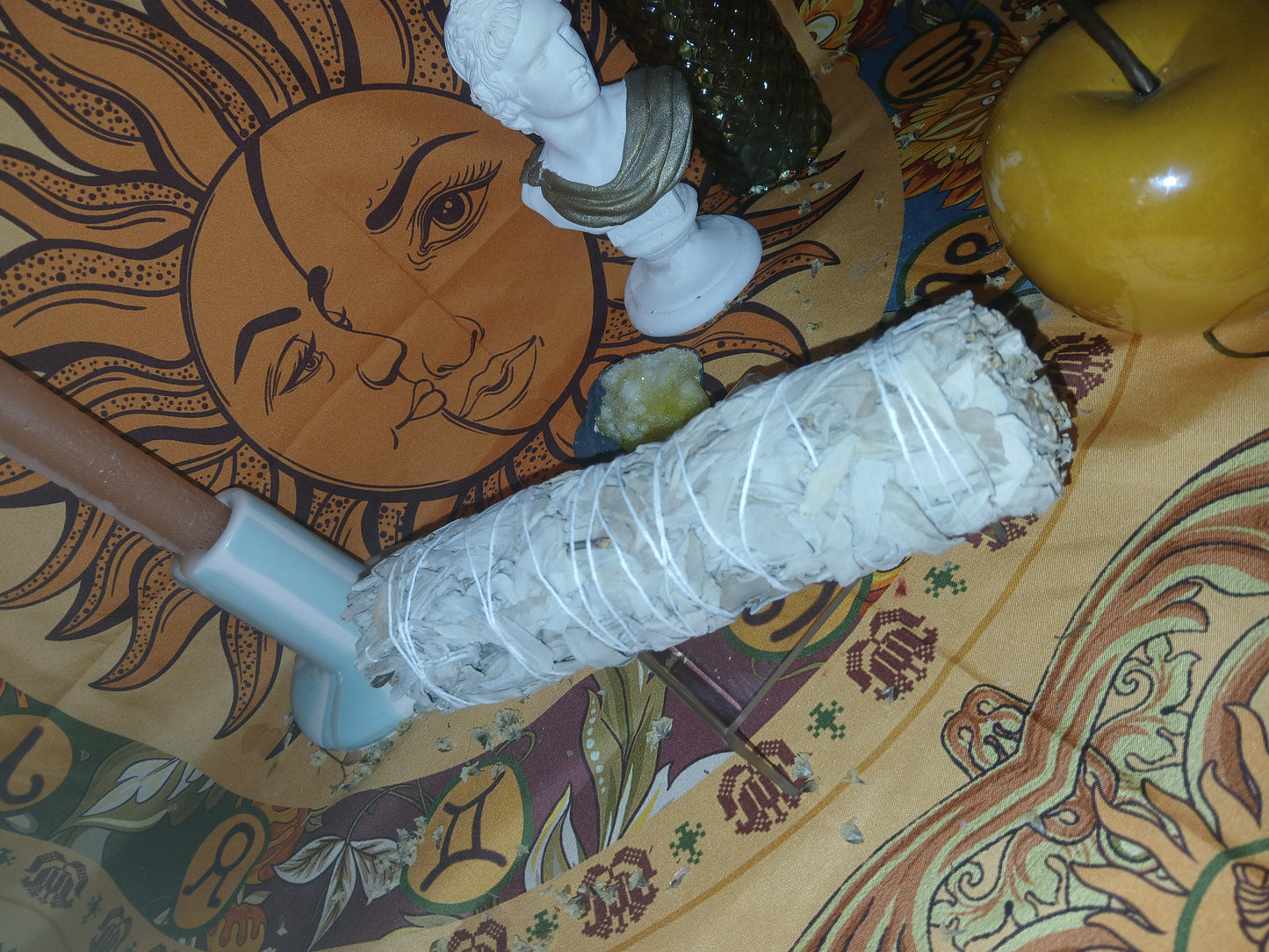 Sauge blanche