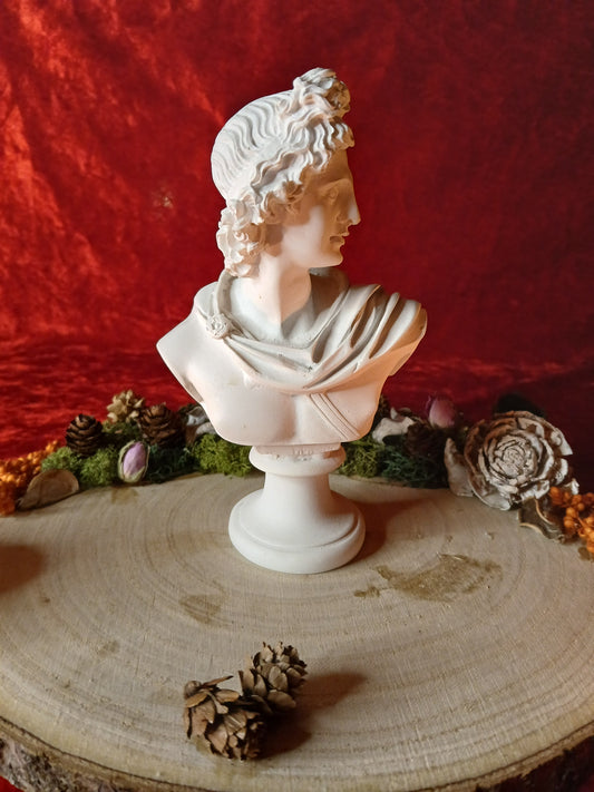 Buste Apollon 15cm