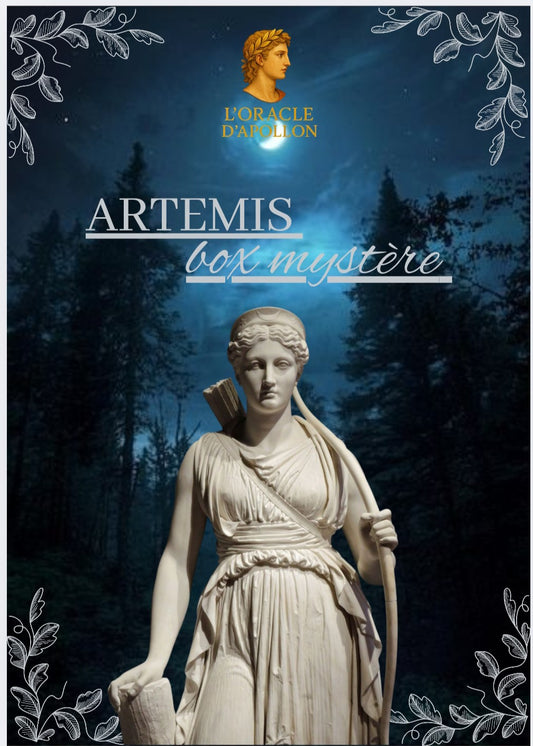 Box mystère Artemis (2 cartons)
