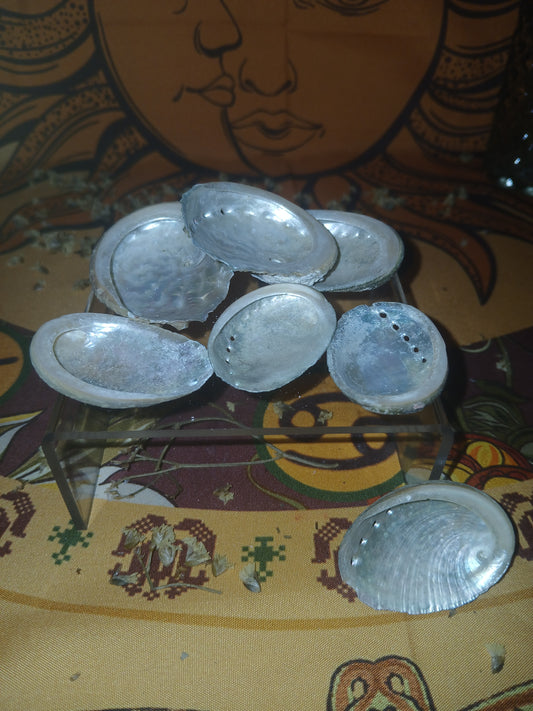 Abalone mini