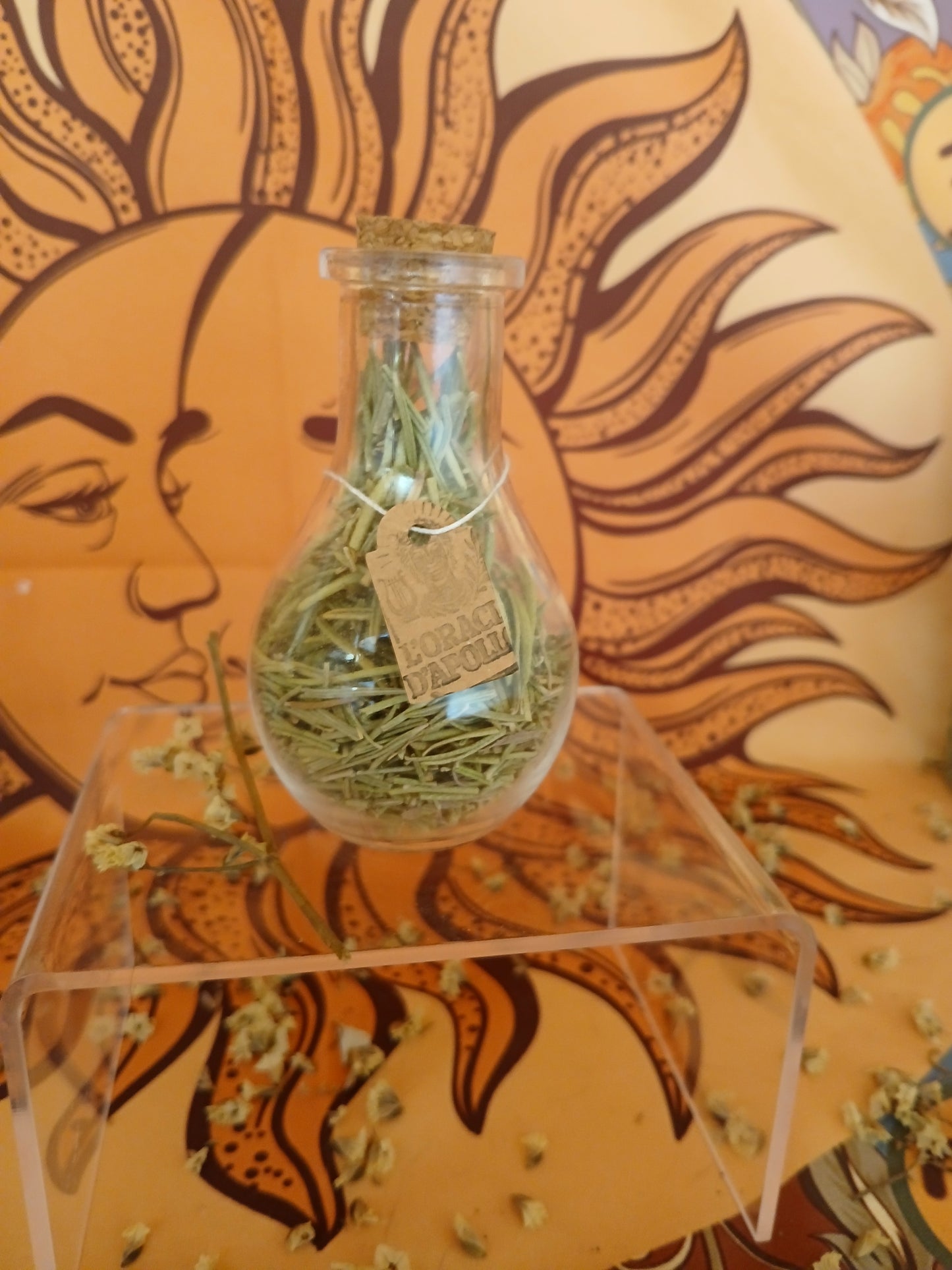 Fiole romarin bio