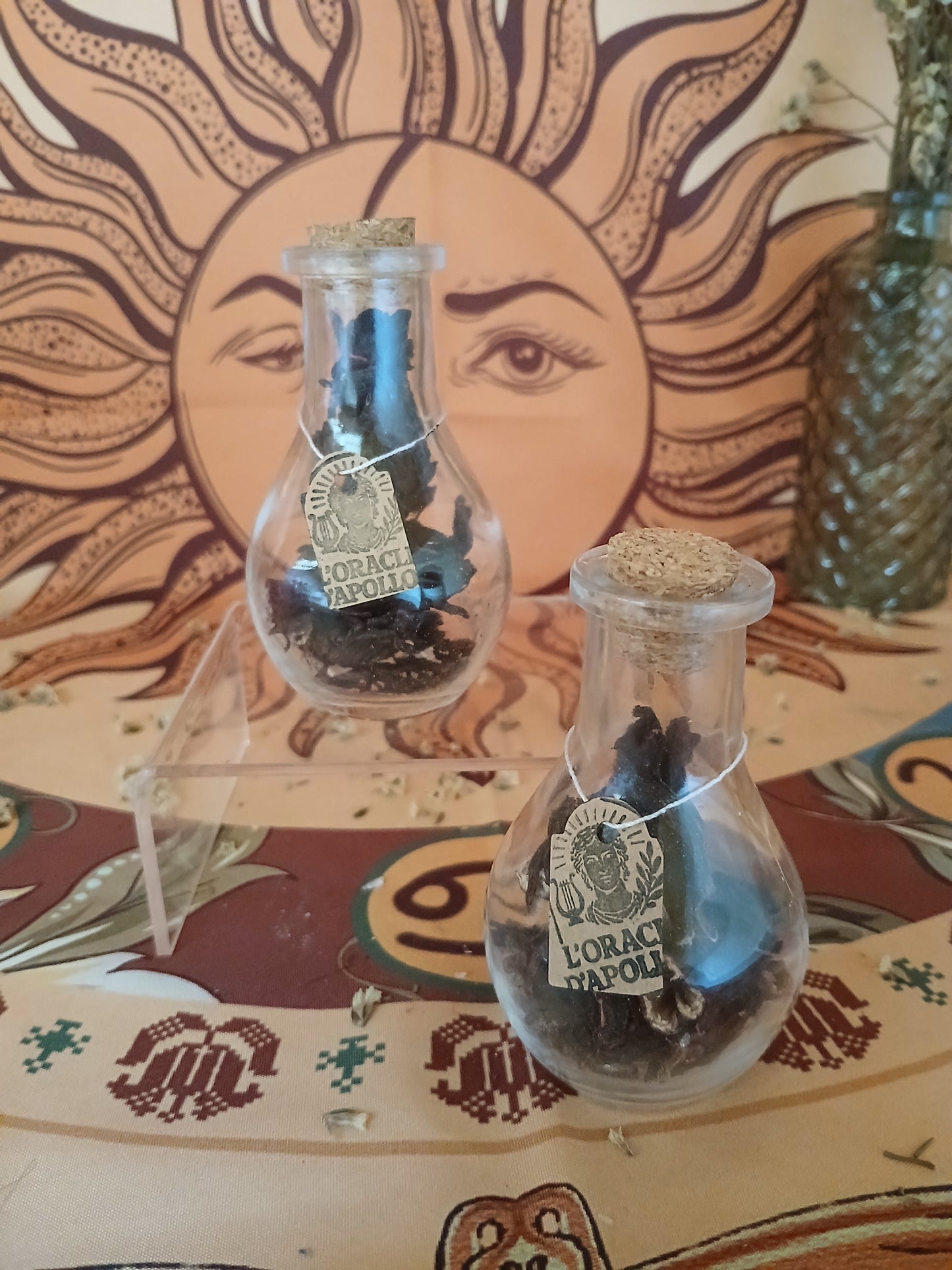 Fiole Hibiscus 10g