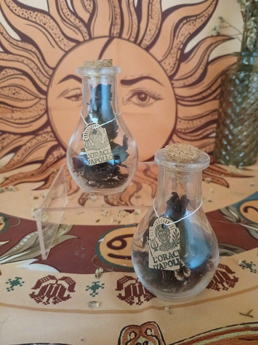 Fiole Hibiscus 10g